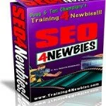 SEO4Newbies-Box-225